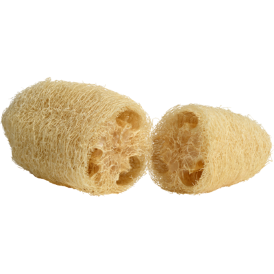 ÉPONGE LOOFAH – Image 2