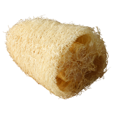 ÉPONGE LOOFAH